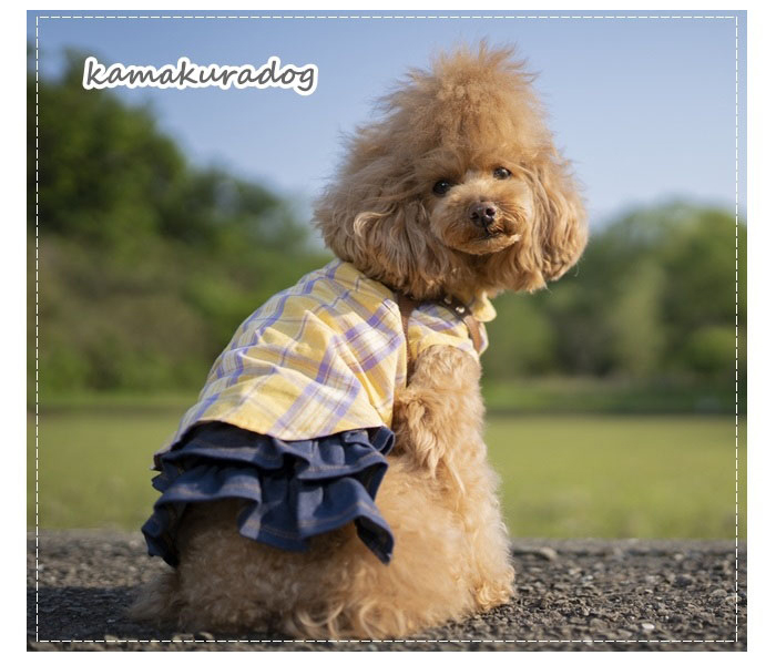 p_p.station ハンドメイド 後ろギャザーサロペット オーダー小型犬