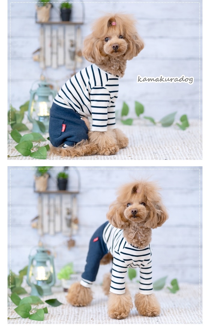 可愛い小型犬の洋服通販 鎌倉ドッグ