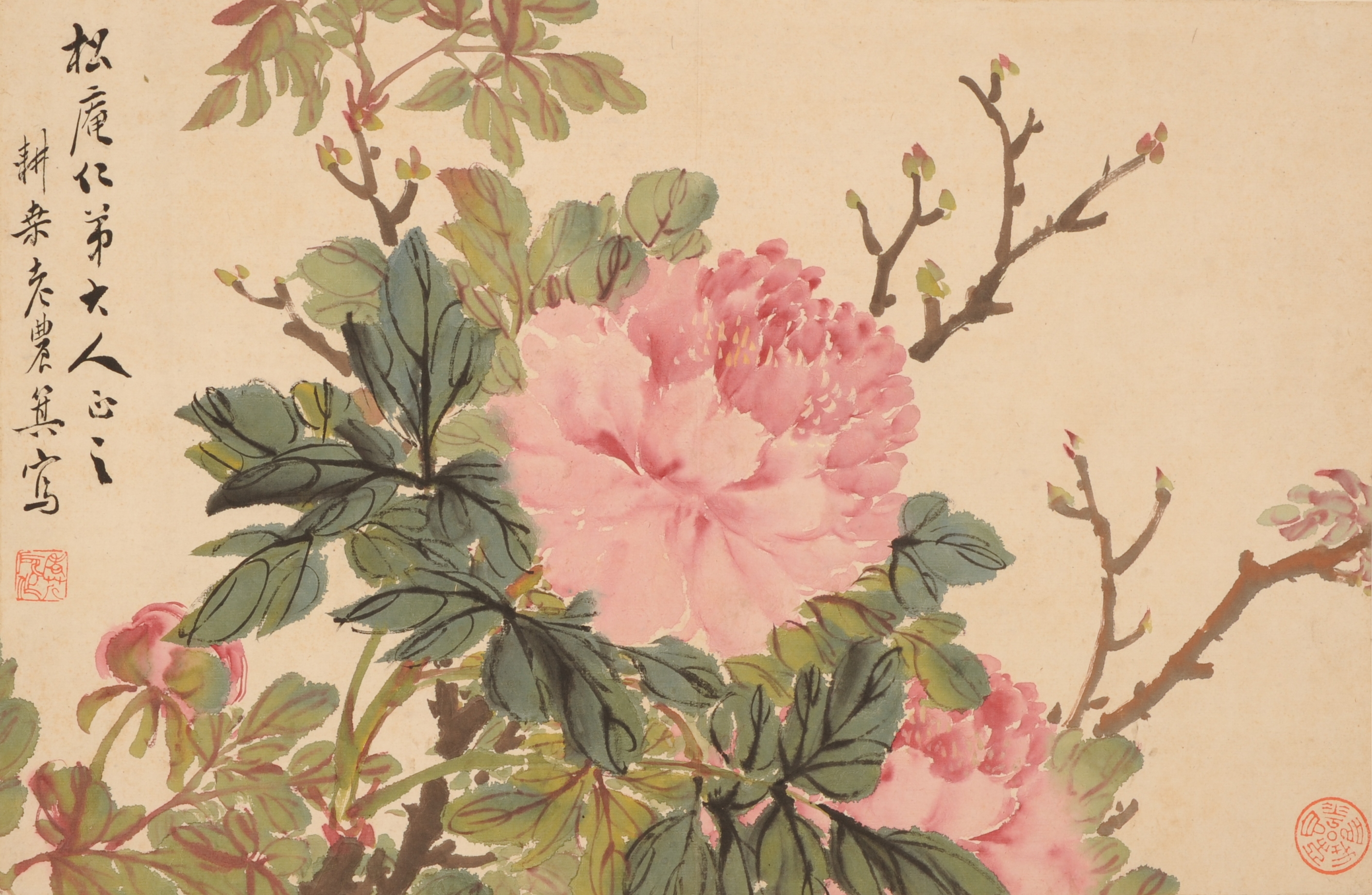 真作】澤之郷/牡丹瓶花図/花図/モクレン/掛軸/名家伝来/AD-