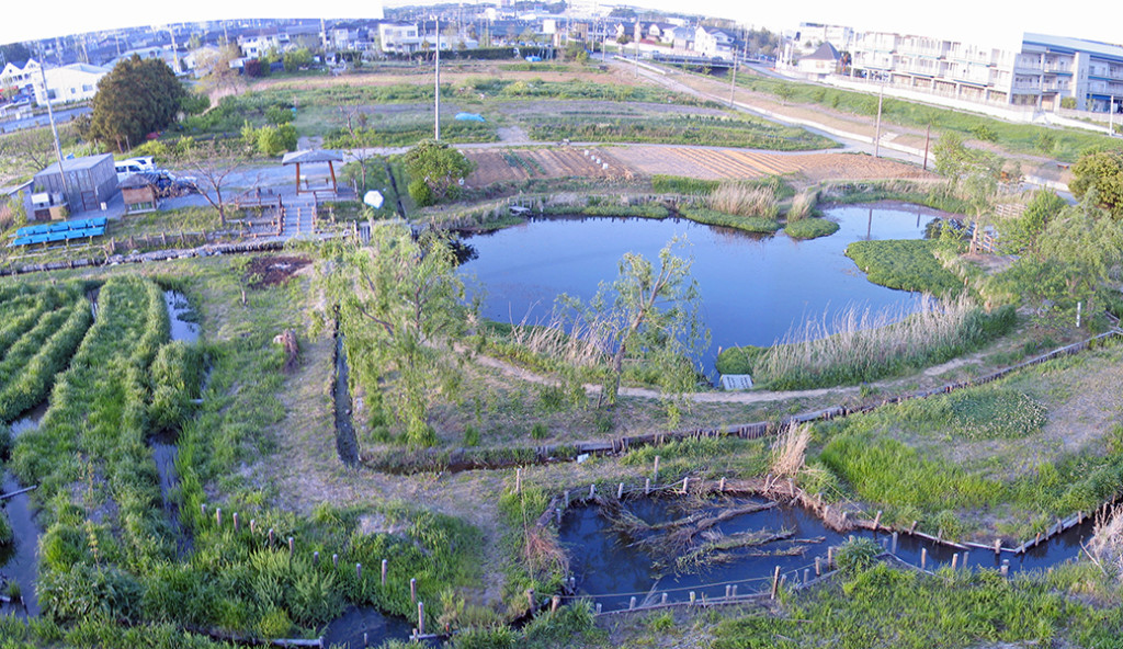 ひょうたん池 | 磐田市観光協会