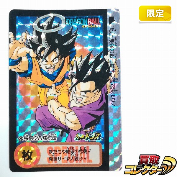 ドラゴンボールZ 良い カードダス 悟空 ご招待券 究極博