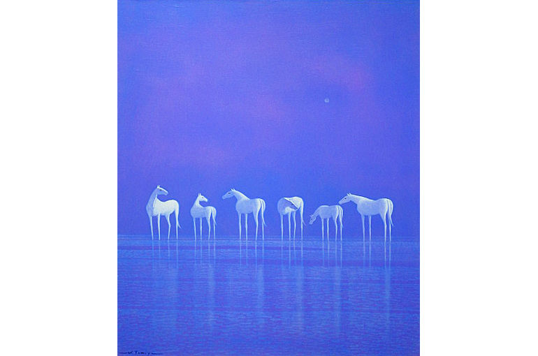 富谷 一明 1980 香 富谷 一明 1980 香 富谷 一明 1980 香 富谷