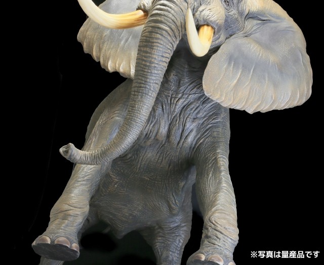 メガソフビアドバンス】 MSA-007 アフリカゾウ｜メガソフビアドバンス