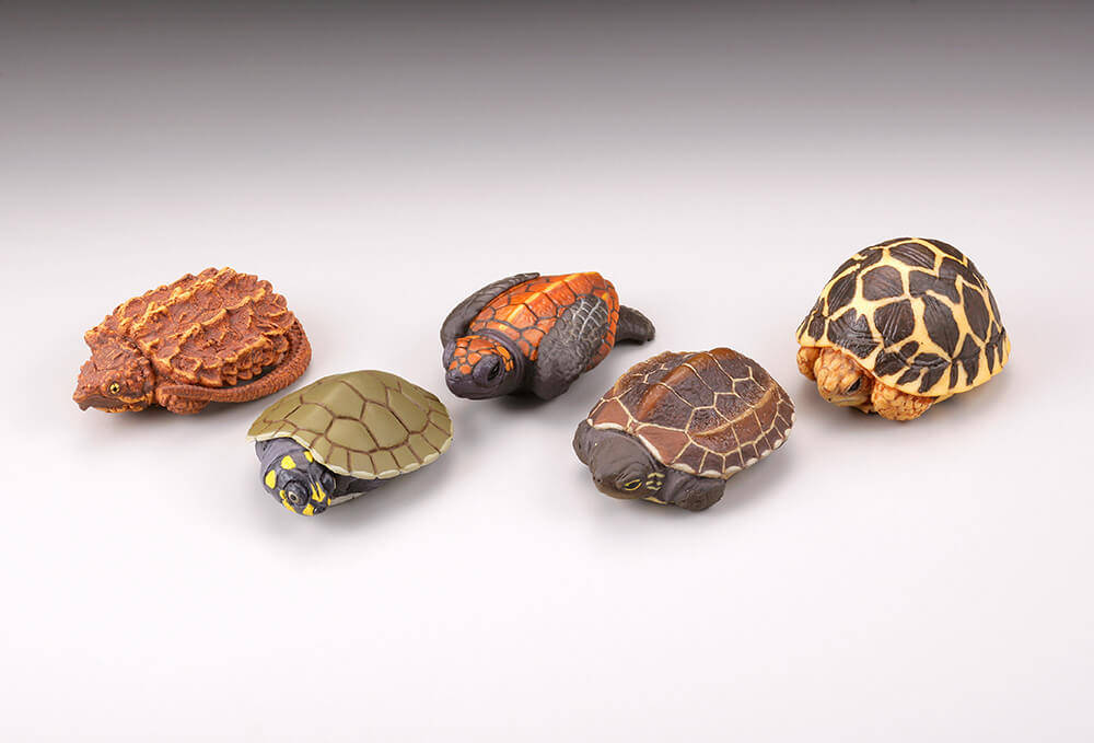 カプセルQミュージアム お財布亀 全5種／1回300円｜カプセル