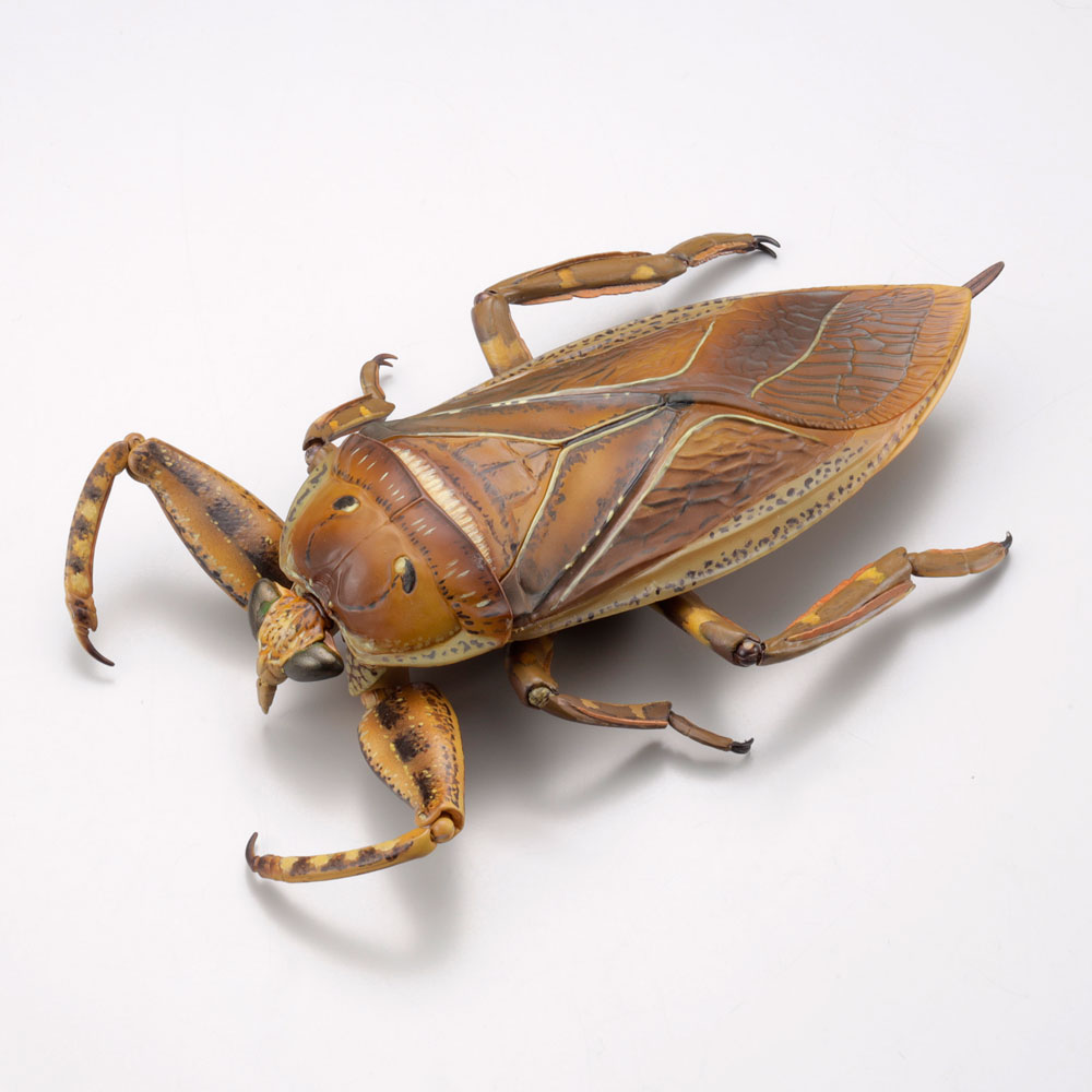 RG005 リボジオ タガメ｜リボジオ｜海洋堂