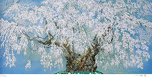 中島千波 【坪井の枝垂櫻】 リトグラフ 中島千波 坪井の枝垂櫻(1)