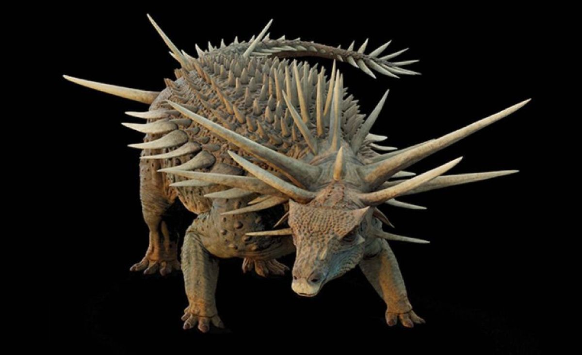 トゲトゲのパンクロックな最古のアンキロサウルス類の新種、モロッコで