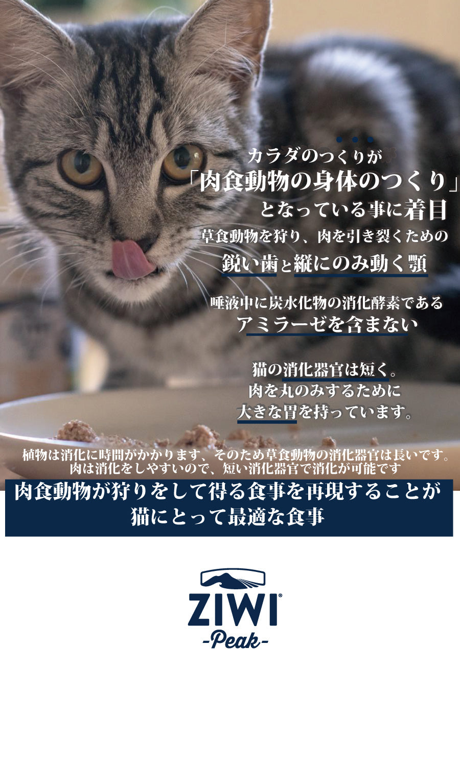 ZIWI -Peak- エアドライ・キャットフード ラム – Katte