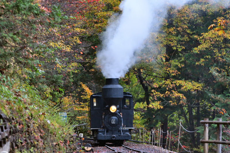 長野木曽森林鉄道の写真 蒸気機関車 木曽森林鉄道記念館 | _博物館