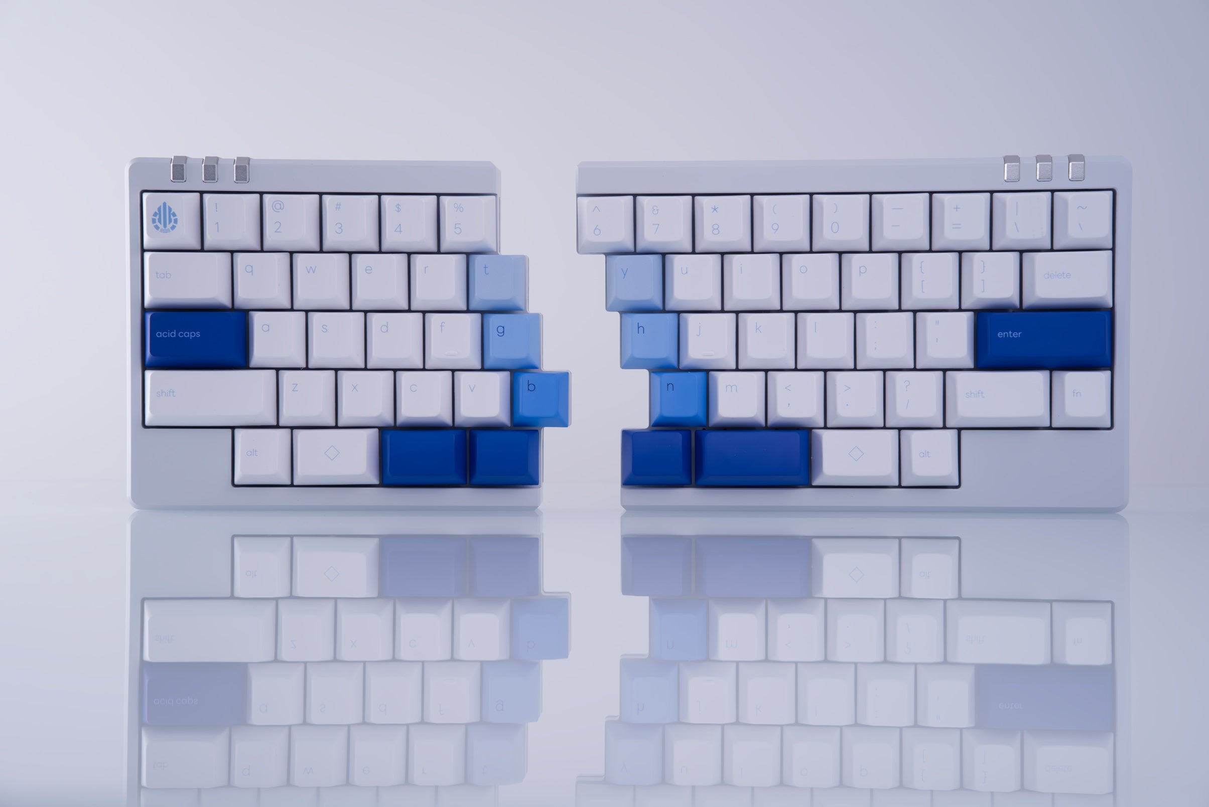 DSC9611.jpg?v=1722529279&width