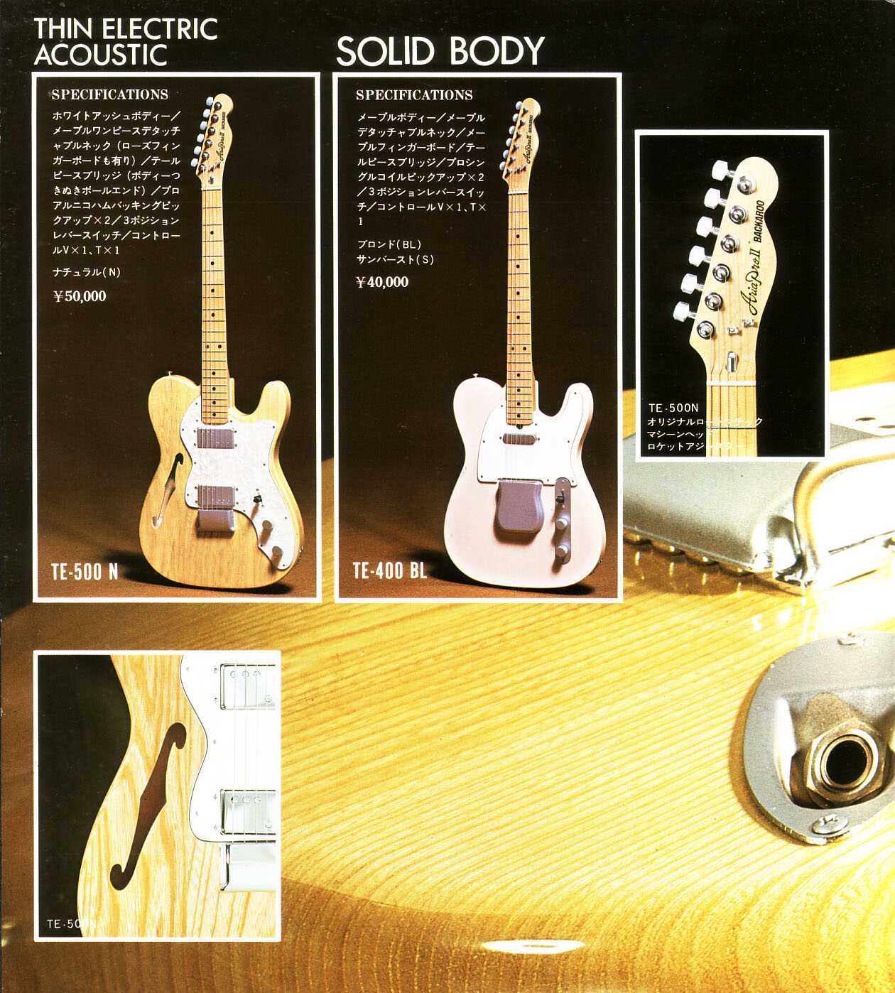 ARIA PROⅡ TE-500N BACKAROO: 昔に比べりゃ 金も入るし・・・・