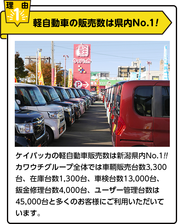 ケイバッカ50周年記念セール開催中！