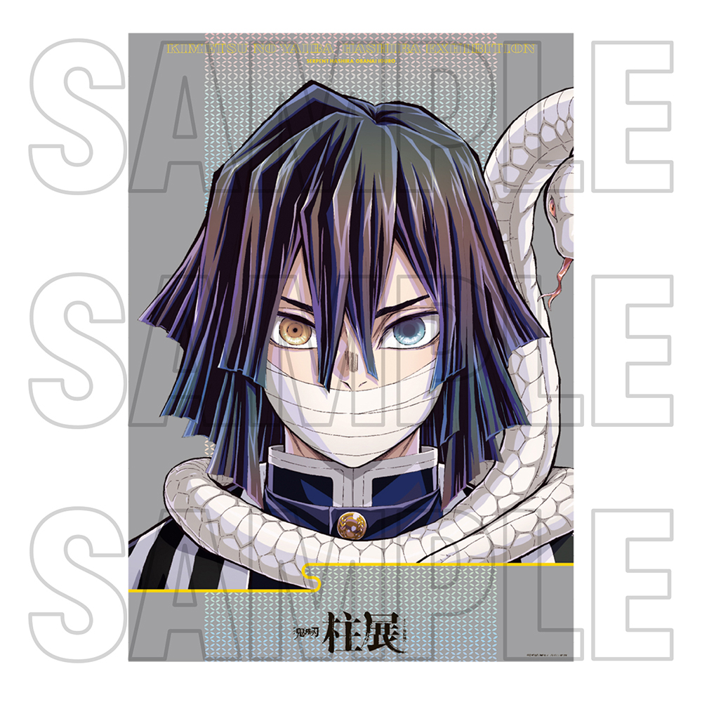 鬼滅の刃 柱展 時透無一郎 キービジュアルプレミアムポスター 鬼滅の刃