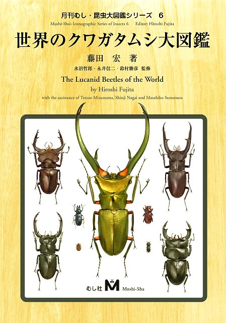 世界のクワガタムシ大図鑑 -むし社- ◇即納 送料無料