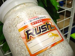 カワラタケ菌糸瓶 カワラの有効なタランドスやオウゴンオニの飼育に