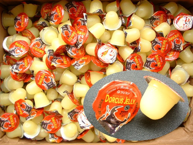 ドルクスゼリーの販売 クワガタとカブトムシの餌用の高タンパクゼリー