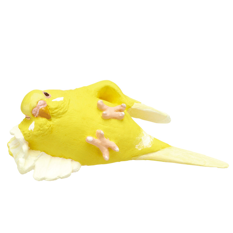 ことりの休日 くつろぎインコ｜株式会社キタンクラブ