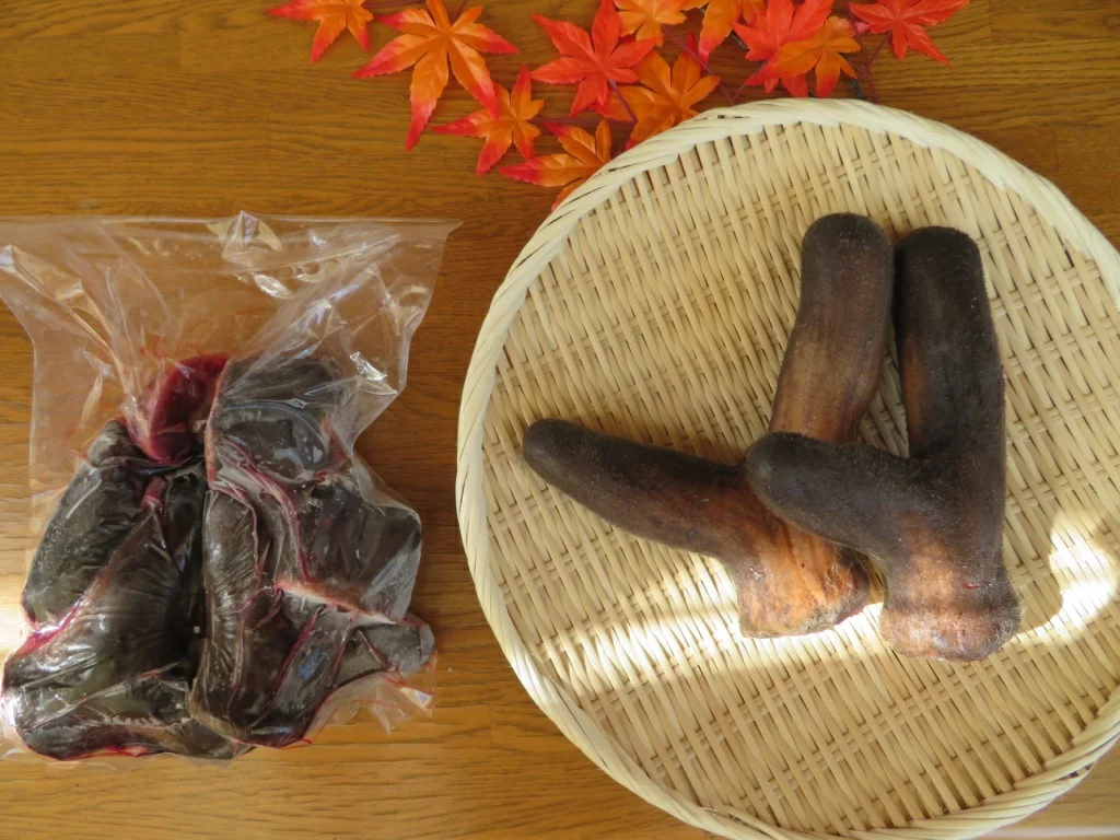 北海道産の天然素材、鹿の袋角（鹿茸）です。春の鹿の生え変わり時期に