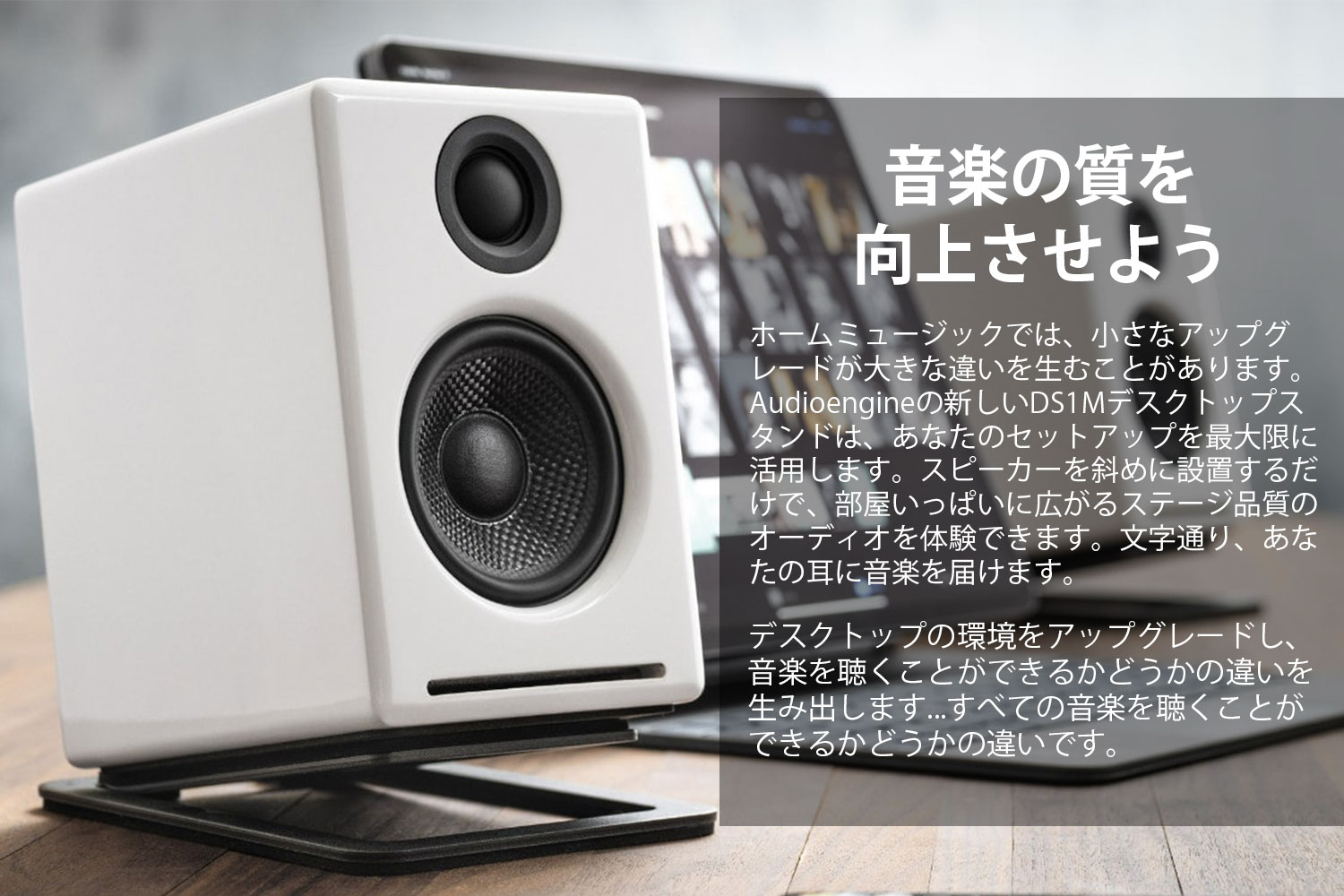 ARDAN Audio アーダン 卓上 スピーカースタンド EVP-M1 中古 ARDAN