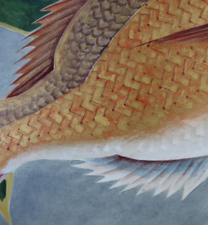 真作】【WISH】富取風堂 「鯛」日本画 掛軸 太巻 共箱 〇