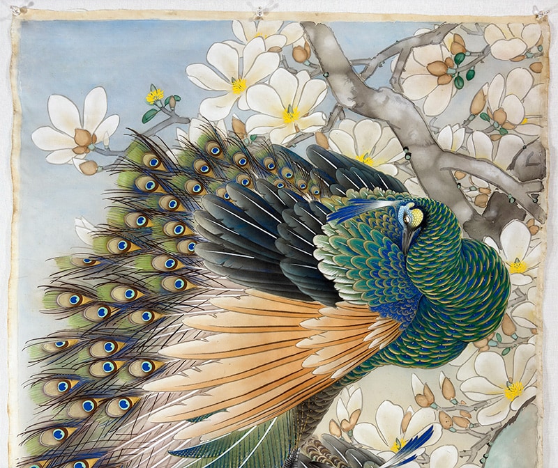 孔雀｜まくり・未表装・大幅｜新・古美術 高美堂（こうびどう）｜掛軸