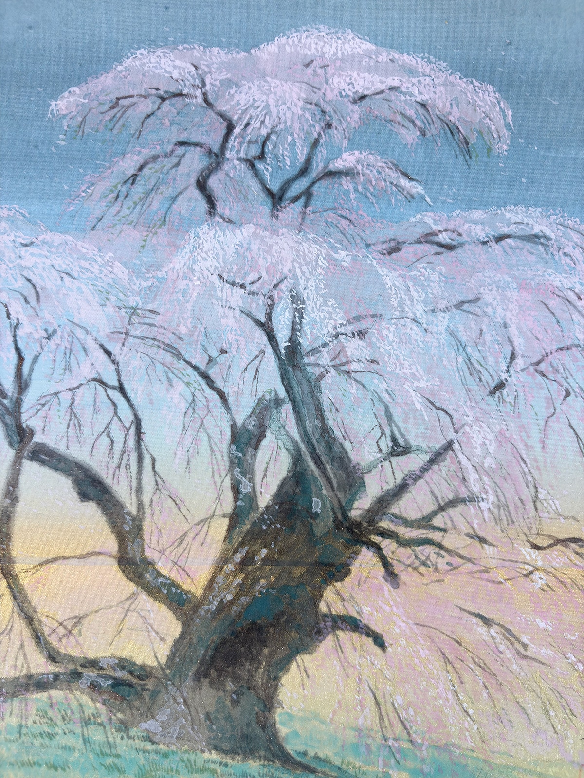 三春滝桜｜色紙｜新・古美術 高美堂（こうびどう）｜掛軸販売・通販