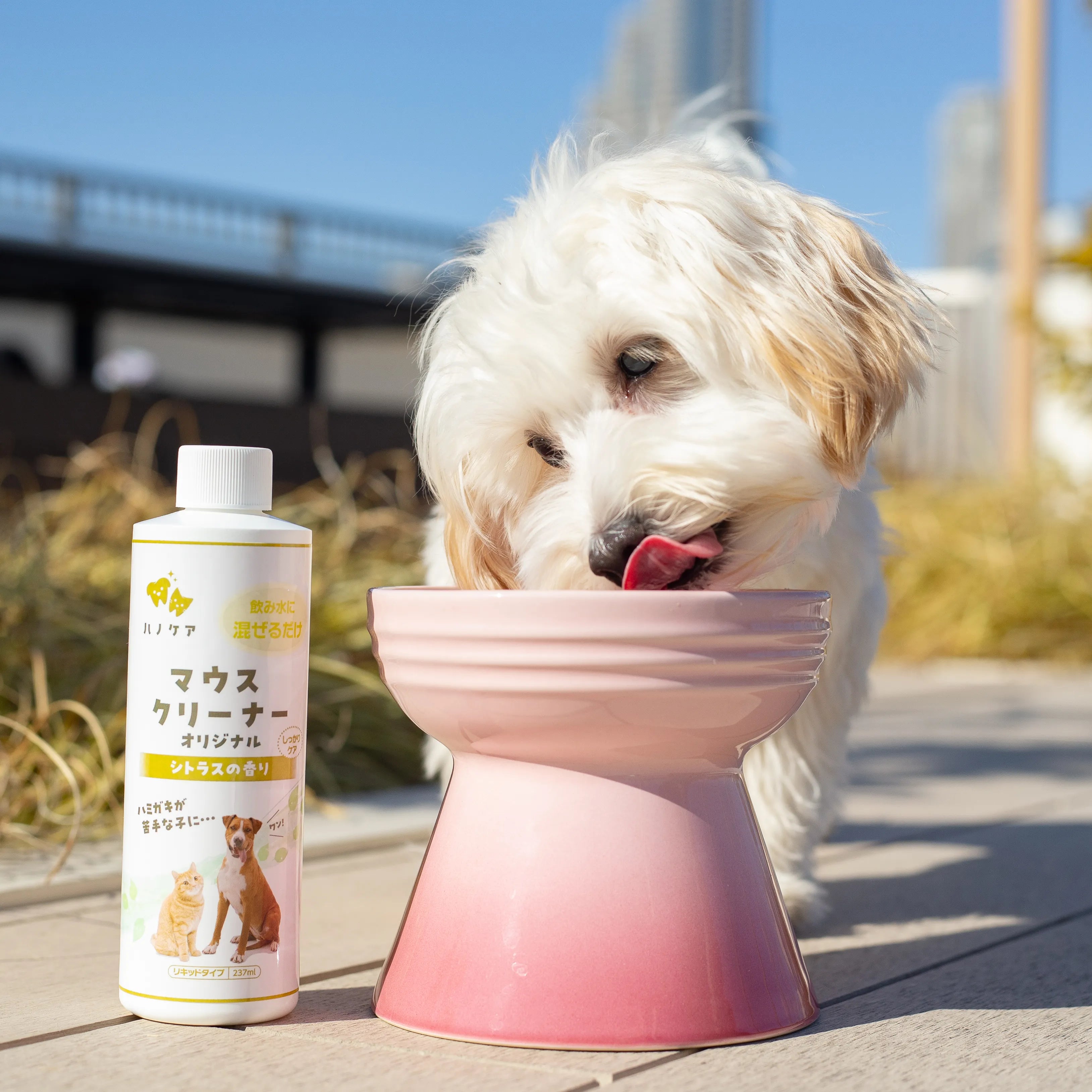 ハノケア マウスクリーナー オリジナル 118/237/473ml （旧KPSマウス