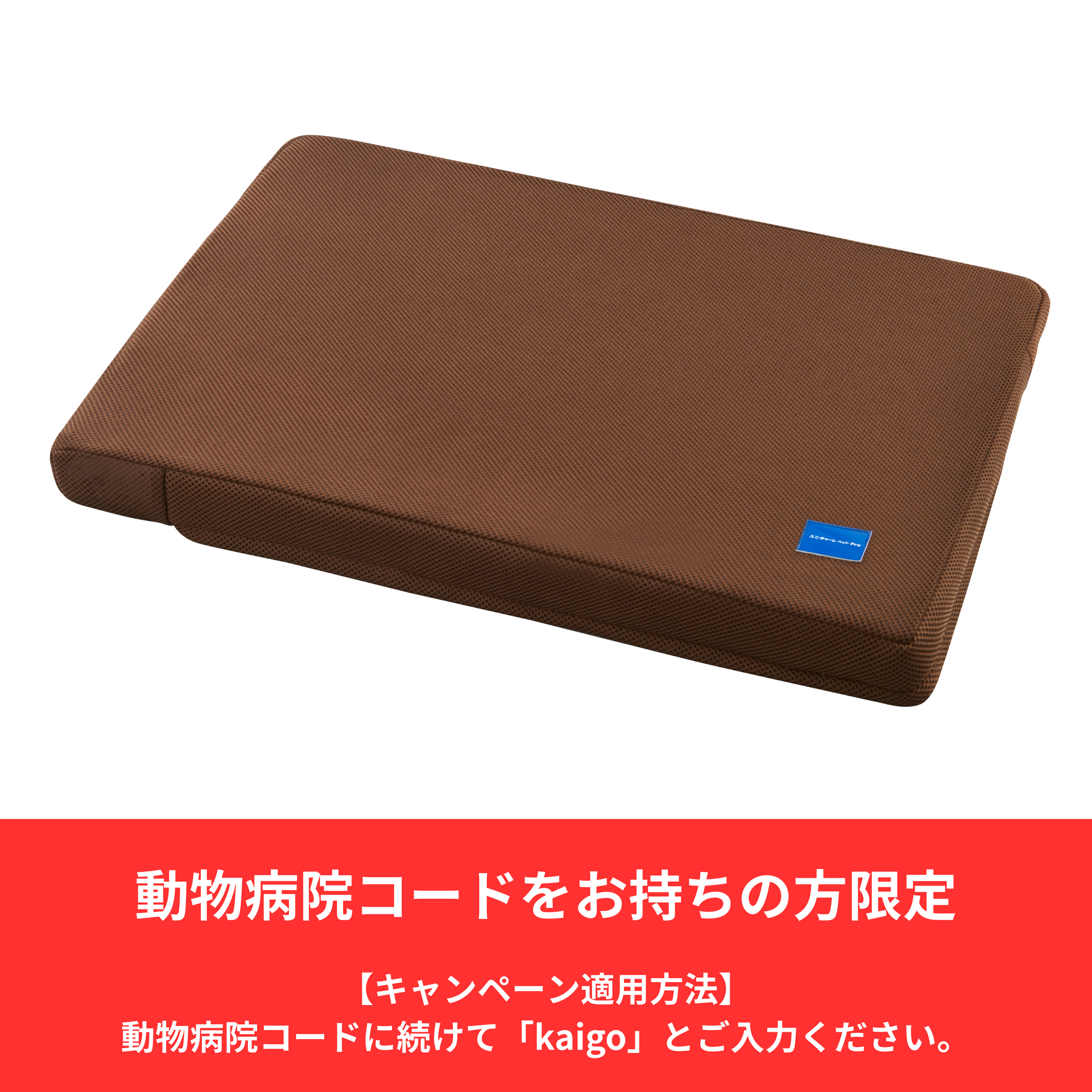 kaigo.png?v=1763016845&width=1920