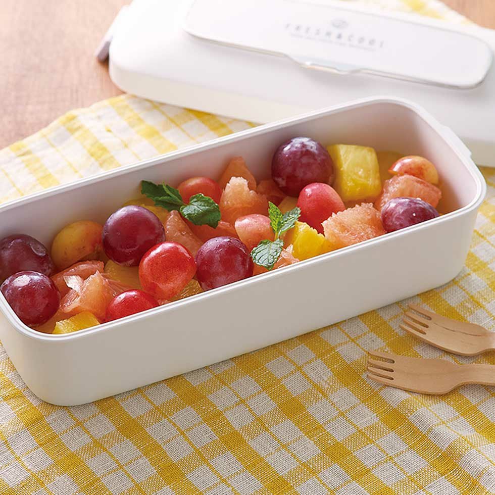 販売終了】真空ランチボックスKVL-0800 | コイズミオンラインショップ