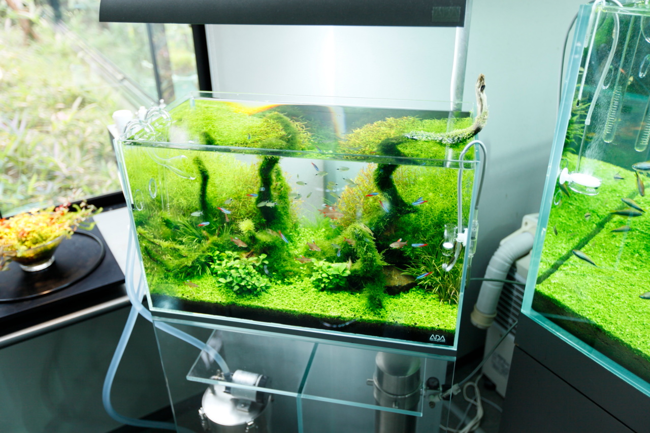 ADA 60*45*45ワイド水槽