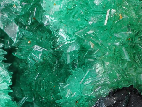 ニッケル華 Annaberigite 鉱物たちの庭