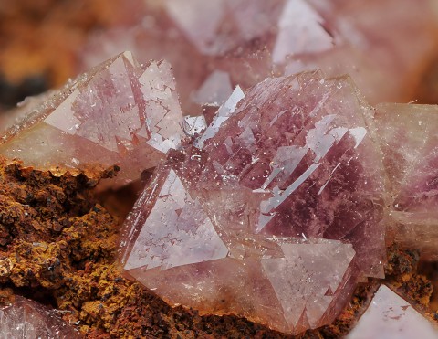 アダム鉱 Adamite 鉱物たちの庭 外国産鉱物標本 含銅アダム鉱