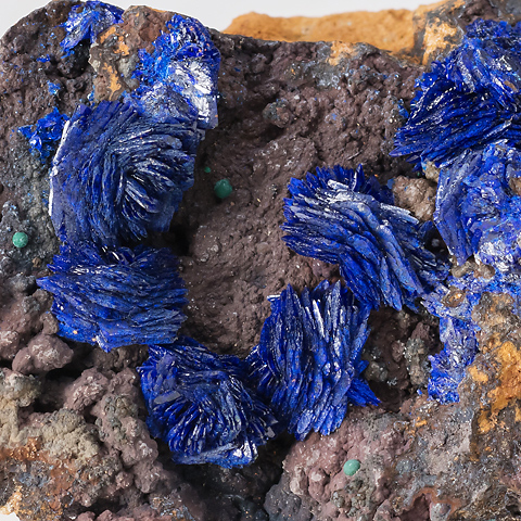 藍銅鉱 Azurite 鉱物たちの庭