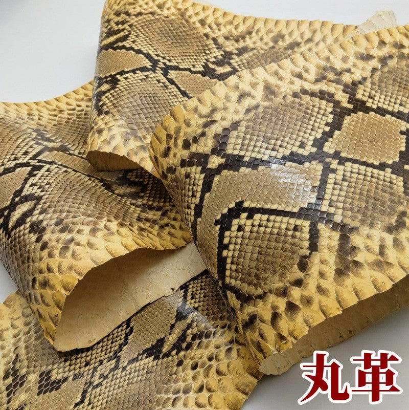 ヘビ丸革/Dパイソン腹割【一匹】アメ色×黒/ツヤ強/hp01 – レザー