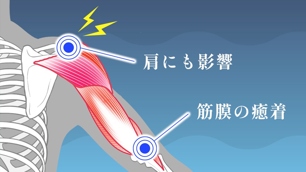 LECELL【レセル ボディ】自宅で簡単 筋膜リリース