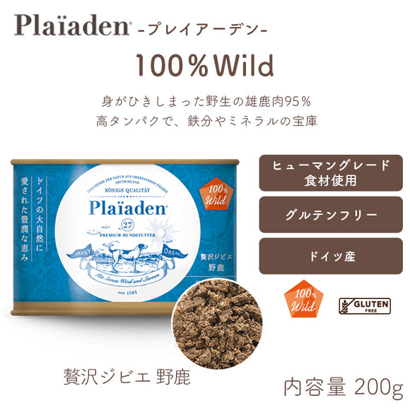 プレイアーデン – ルシアン