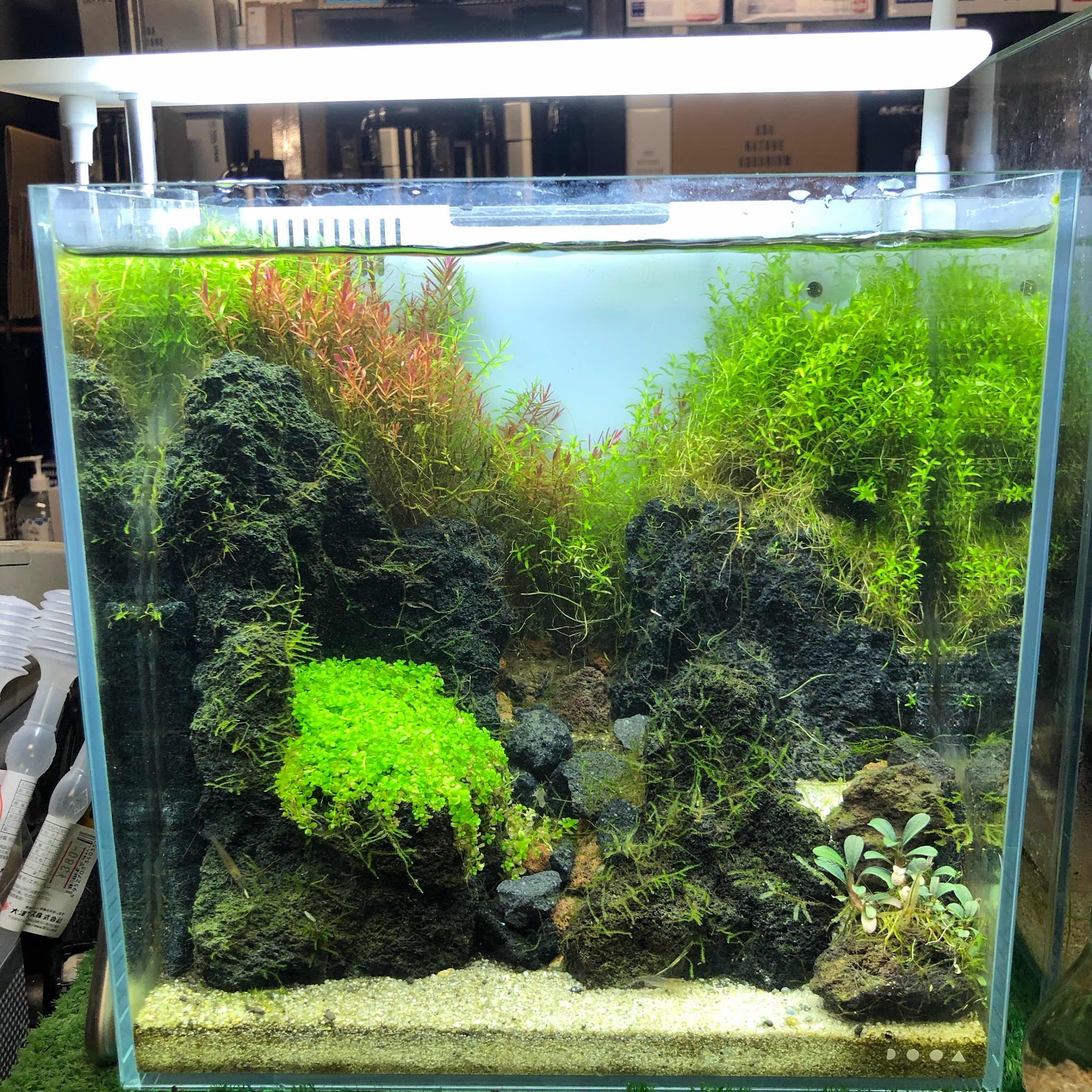 DOOA SOL STAND RGB ソルスタンドRGB 廃盤品 SOL STAND RGB | PRODUCTS