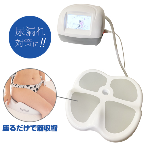 ブルー、水色、骨盤底筋 トレ一ニングチェア EMS 電磁パルス 椅子