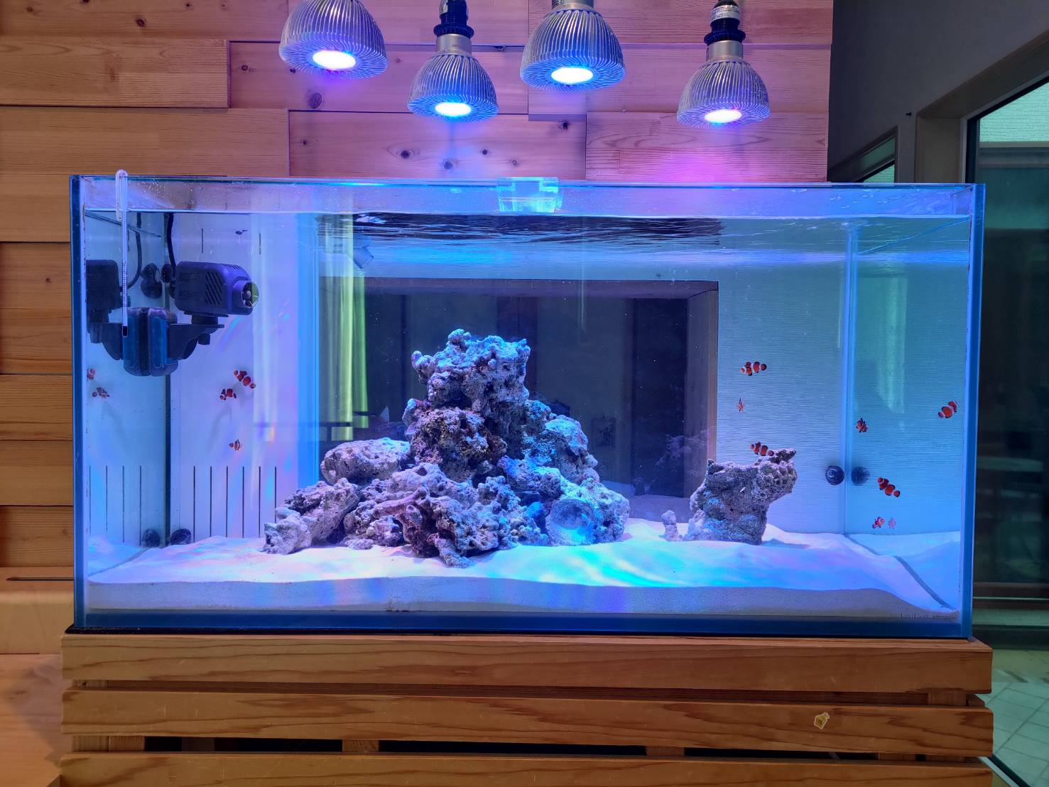 引取限定オーバーフロー水槽 ガラス製 60cm x 36cm x 引き取り限定