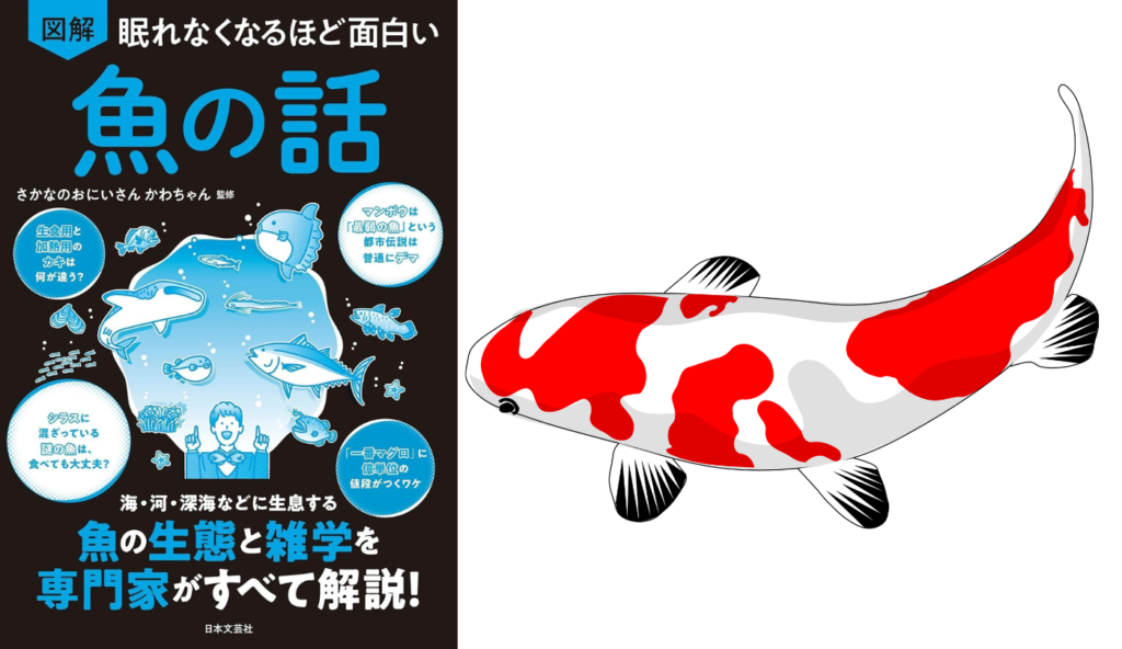 ☆マリンマリン☆カード【120Rシーラカンス】 Amazon.co.jp: ☆マリン
