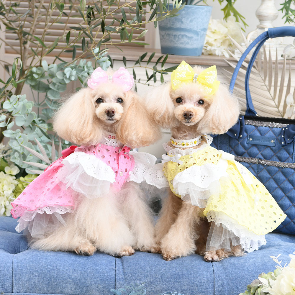 リュクスバーディ ワンピースS 新品 【公式通販】