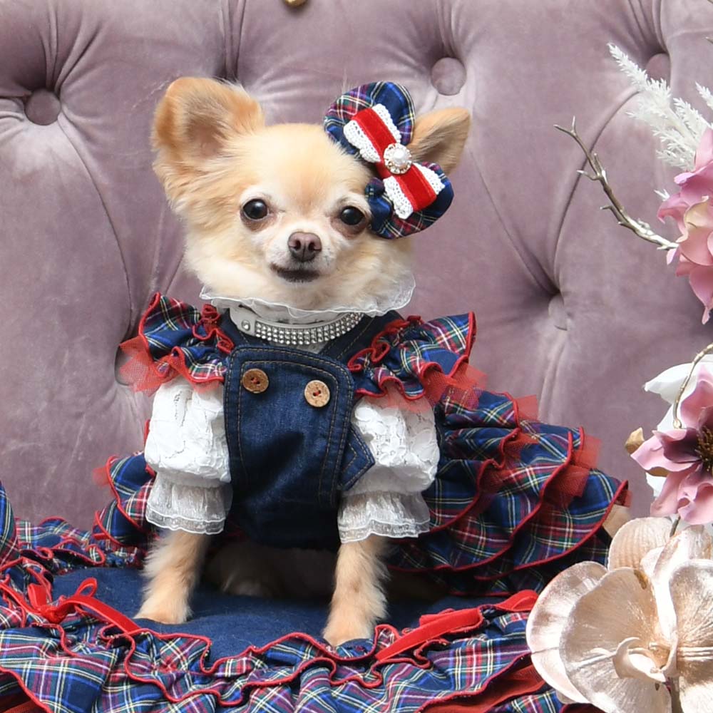 Luxe birdieリュクスバーディ プレイドデニムスカート SS