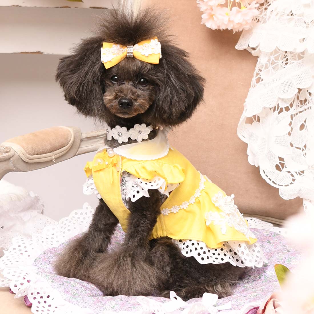 リュクスバーディ Luxe birdie アリエットワンピース Mサイズ 新品