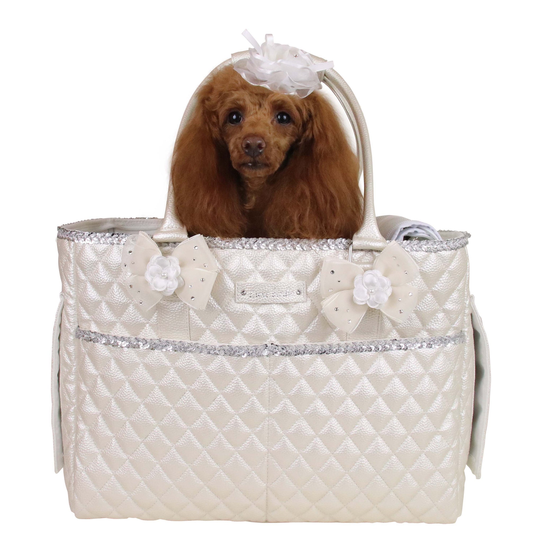 リュクスバーディ✖️fafaコラボキャリーバッグ Fa＊Fa×Luxe birdie