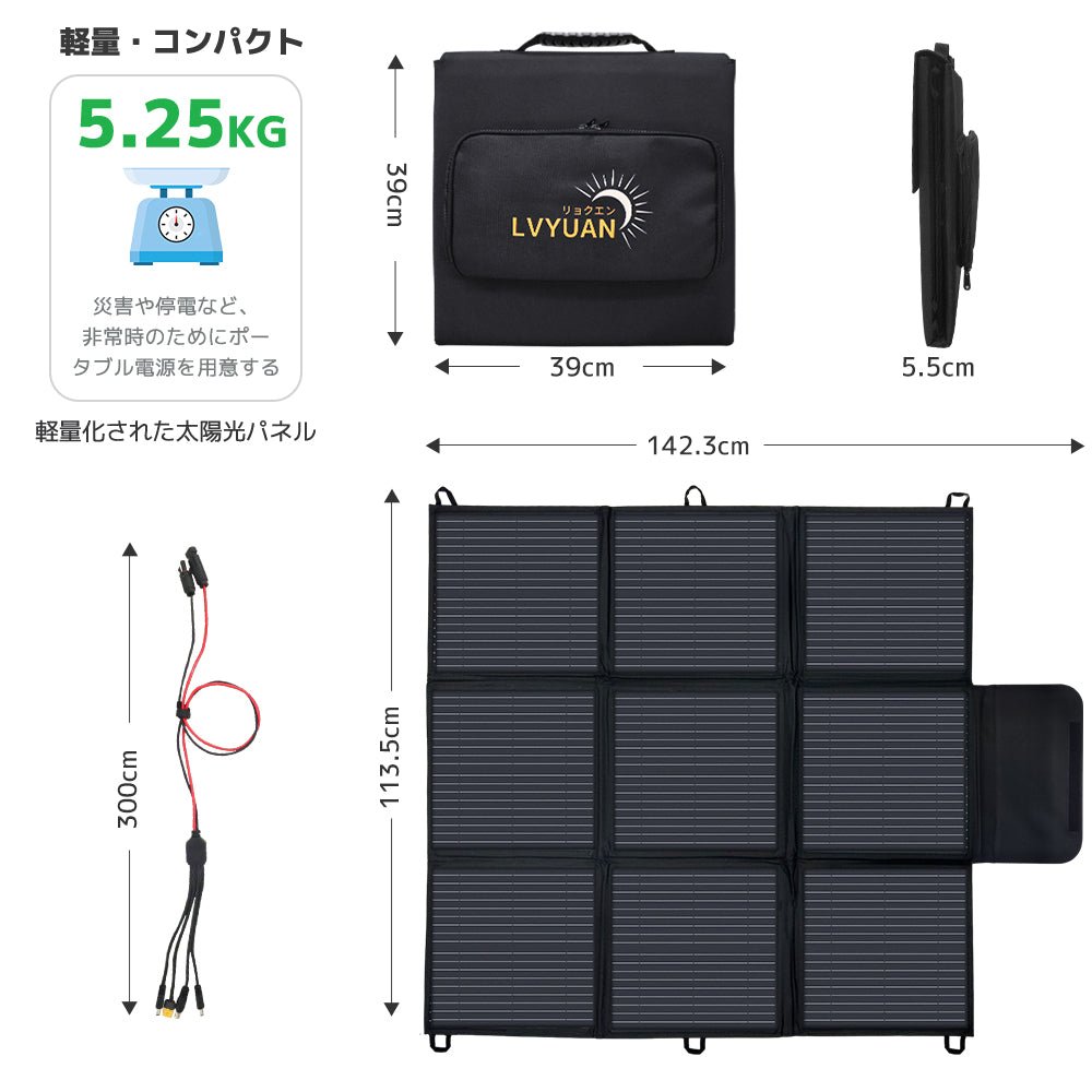 LVYUAN 400W太陽光発電セット ソーラーパネル2枚（200W）&ソーラー