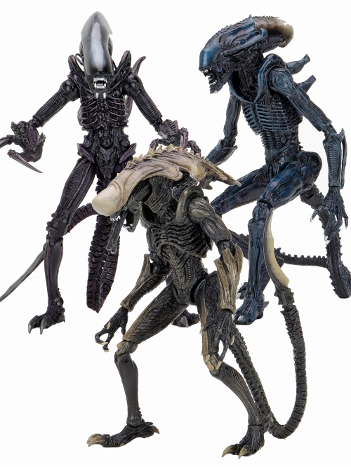 2次入荷分】エイリアン vs プレデター/ 7インチ アクションフィギュア