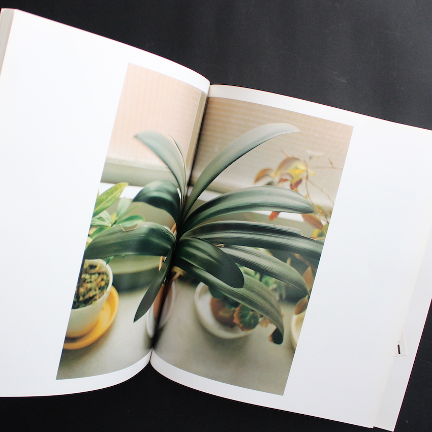 生きている（First Edition） - 佐内 正史 / Masafumi Sanai