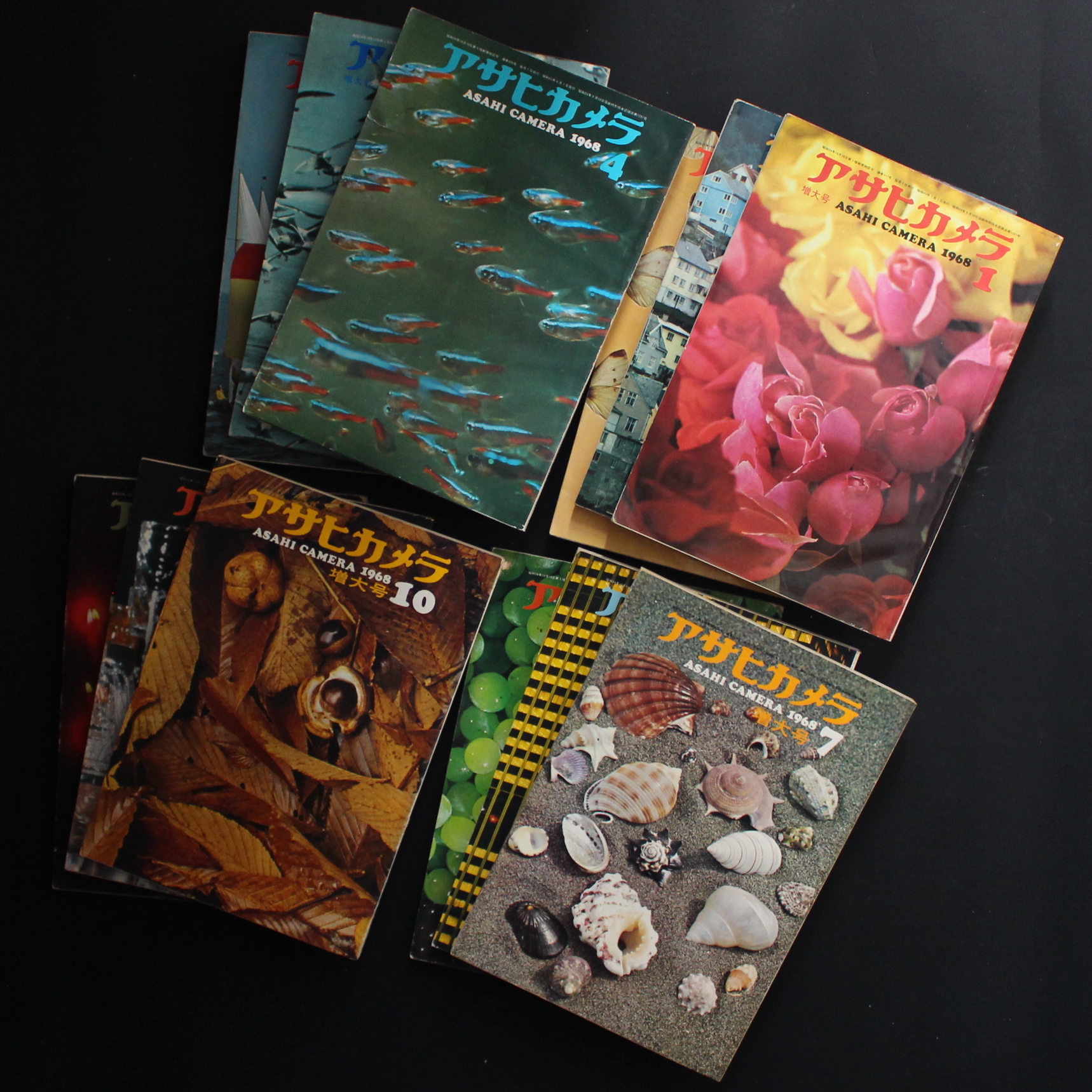 オリジナルプリント ヨコギアラオ 002_2 アサヒカメラ1994年