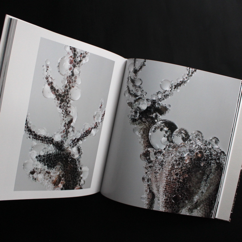 買*毒様 新品 未開封 名和晃平 ドローイング付き SYNTHESIS 作品集 買*