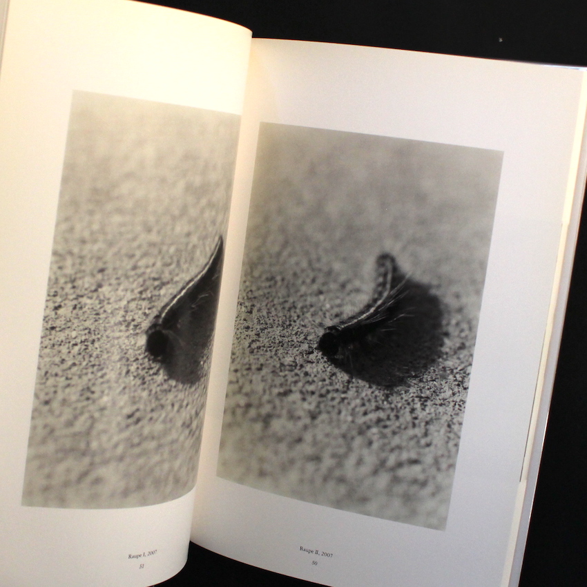 芸術写真 Wolfgang Tillmans Wako Book 4 Wolfgang Tillmans / Wako